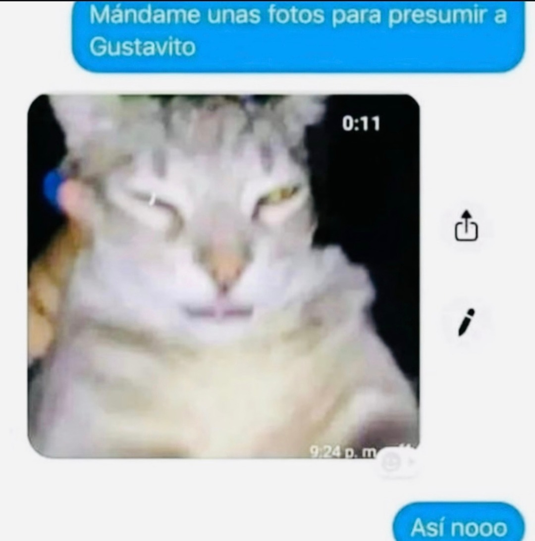 Me pidió fotos pa' presumirme y le mandé las peores - meme