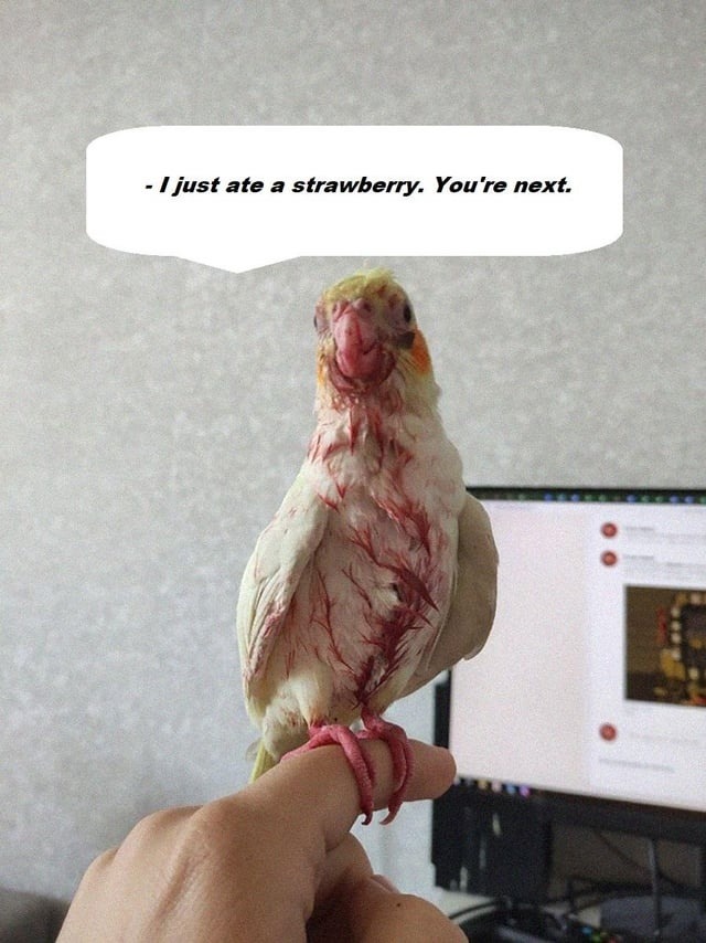 just ate a strawberry and now the rest better start praying - meme