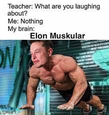 Elon Muskular - meme