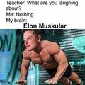 Elon Muskular