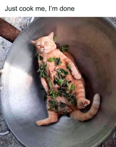 I'm done - Meme by ZiggyStarburst :) Memedroid