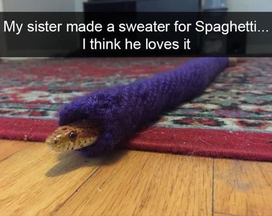 Spaghetti ready for the winter - meme