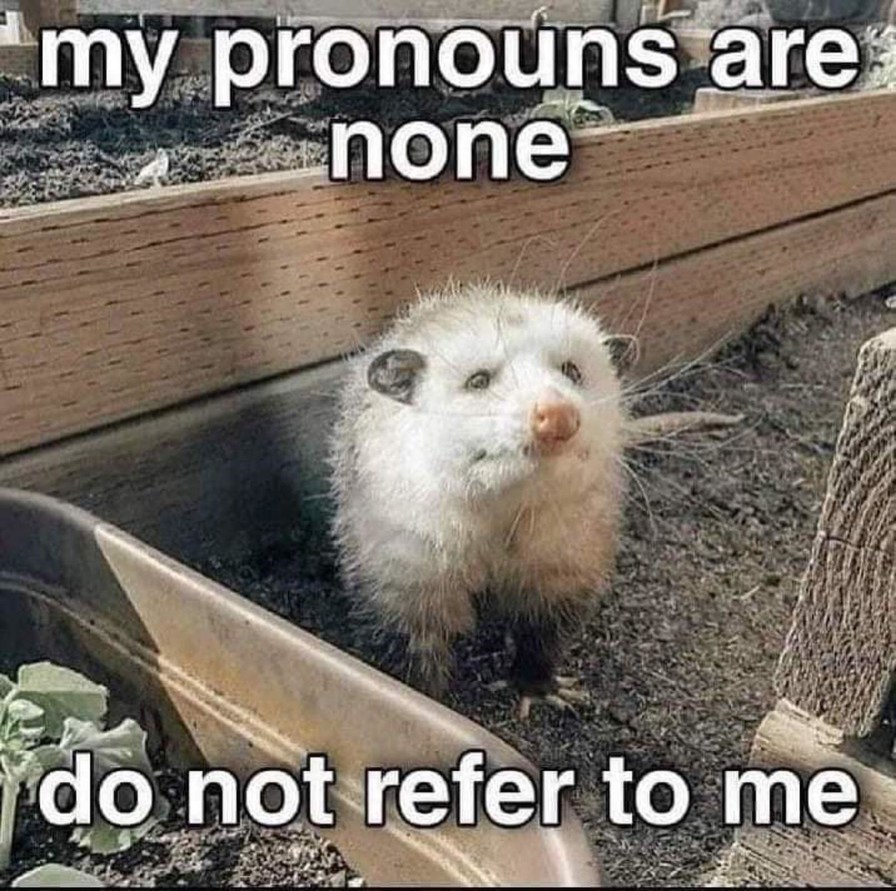 How to deal with pronouns - meme