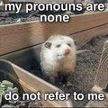 How to deal with pronouns