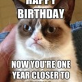 Happy birthday cat meme