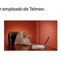 Mi familia y yo llevamos 12 días sin internet gracias a los pendejos de Telmex