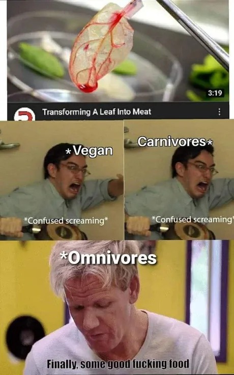 Transforming a leaf into meat - meme