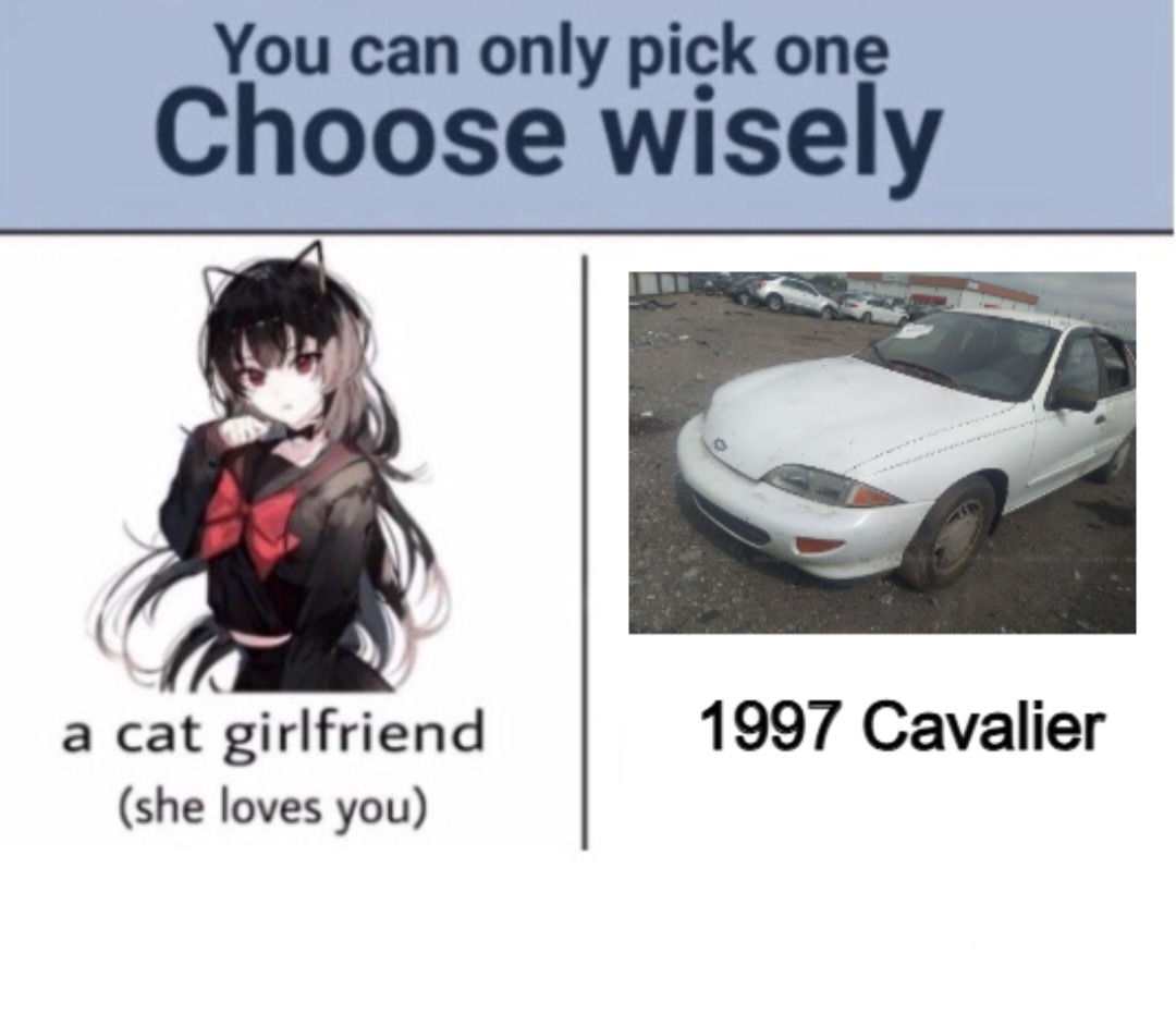 Cavalier is eternal - meme