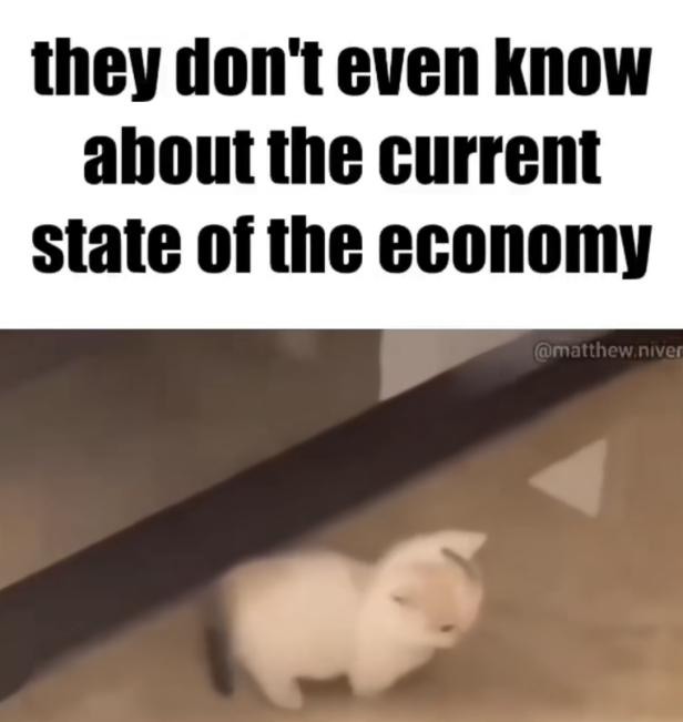 Nadie sabe de el estado de la economía - meme