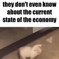 Nadie sabe de el estado de la economía