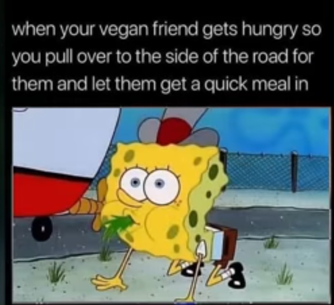 Being a good friend even if they are a vegan - meme