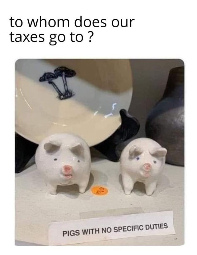 Funny taxes meme