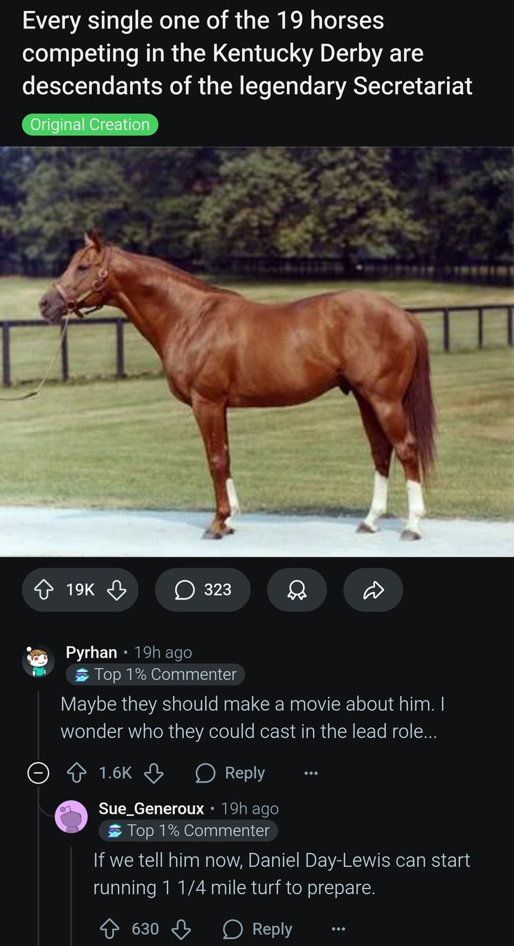 All 19 Derby horses are Secretariat's kids and that’s kinda wild - meme