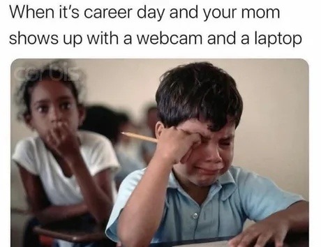 Career day ruined by mom's livestream setup - meme