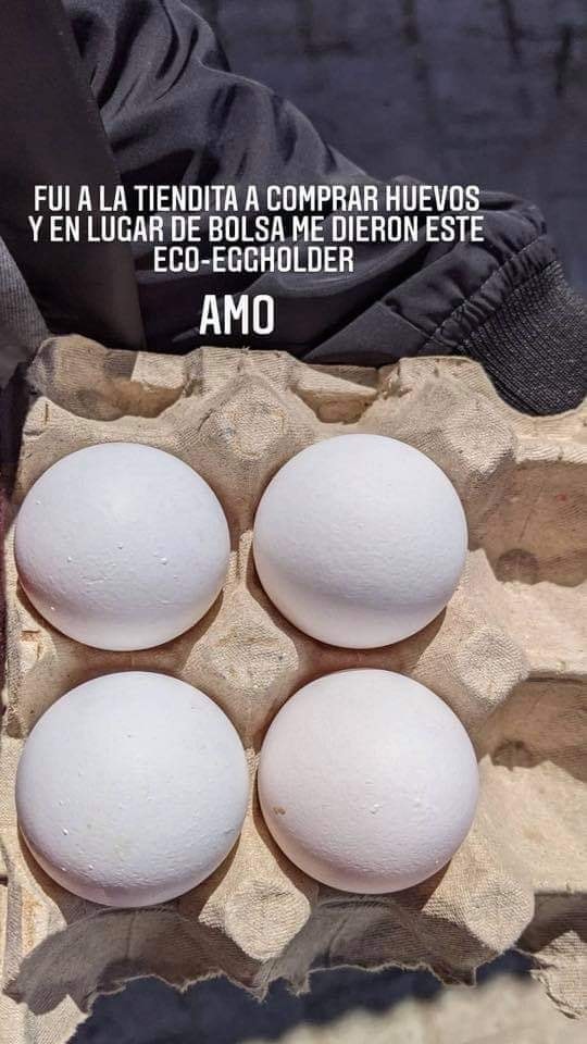 Eco-eggholder - meme