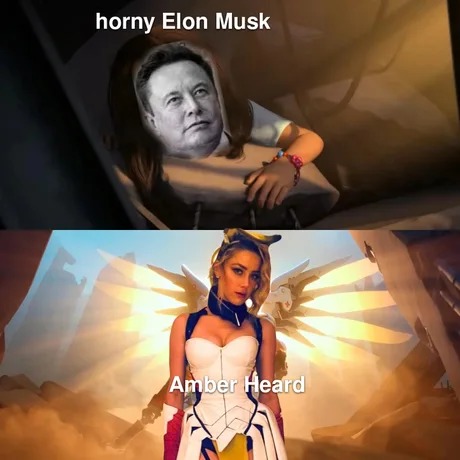 Elon Musk shares photo Amber Heard in cosplay - meme