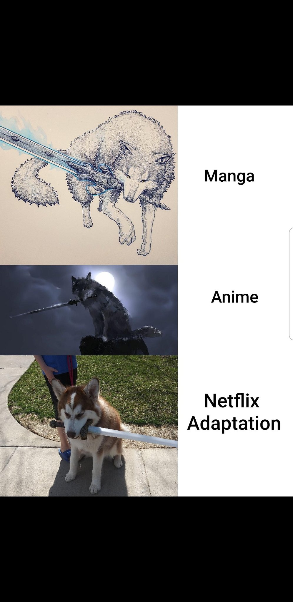 Meme