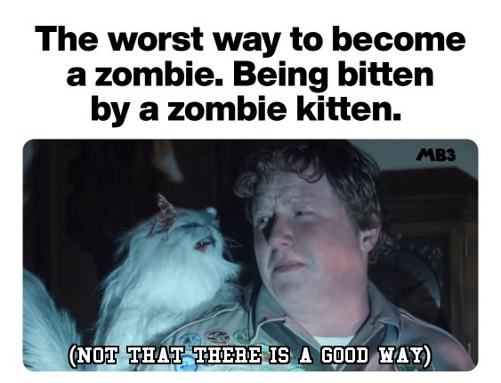 Zombie Kitten - meme