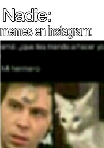 Los Últimos Memes :) Memedroid