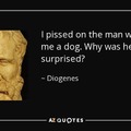 Fuck all philosophy besides whatever the hell Diogenes was teaching