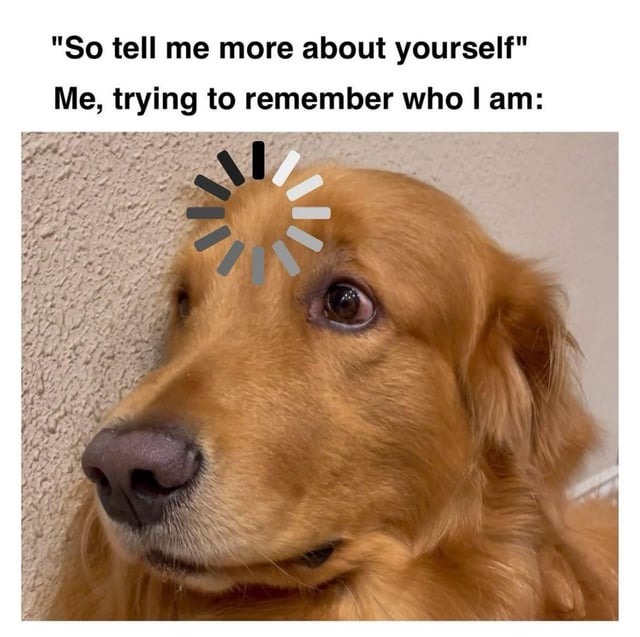 Tell me more about yourself - meme