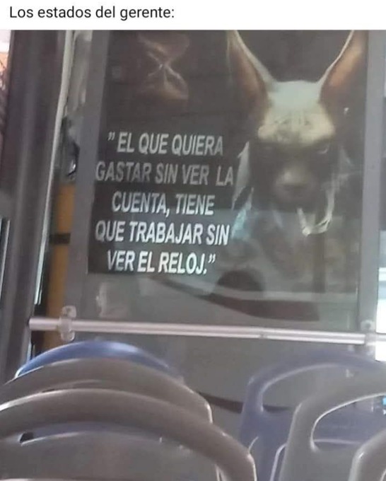 El estado del jefe - meme