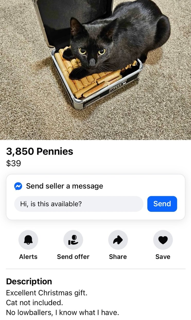 3,850 pennies, cat not included. Know what I got - meme