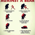 Bear defense tactic