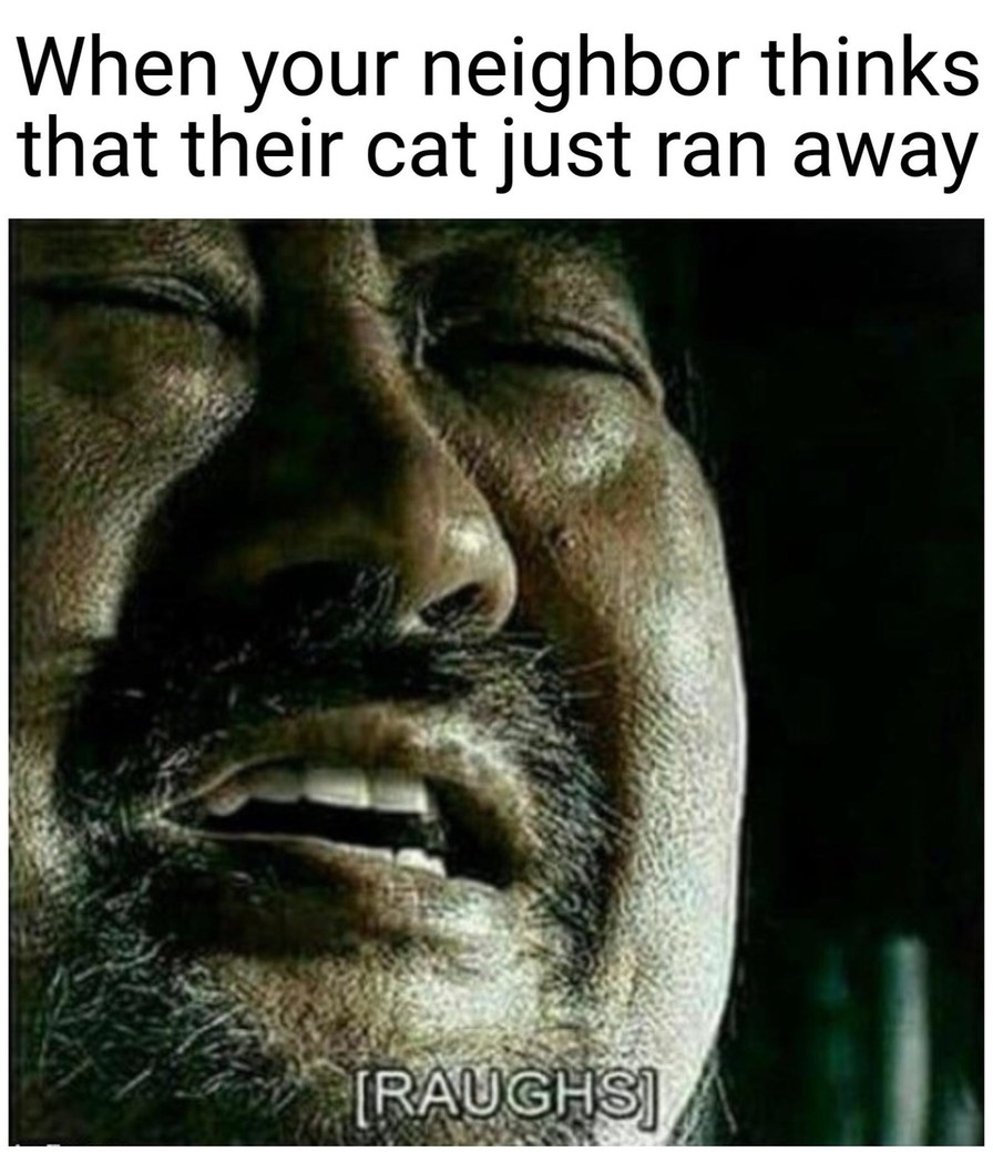 Cat - meme