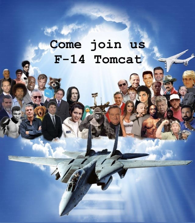 Join us... or be left behind by the Tomcat - meme