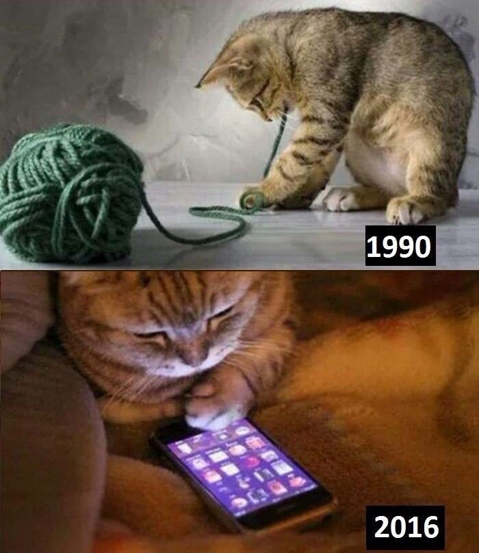 Only 90's cats will understand - meme
