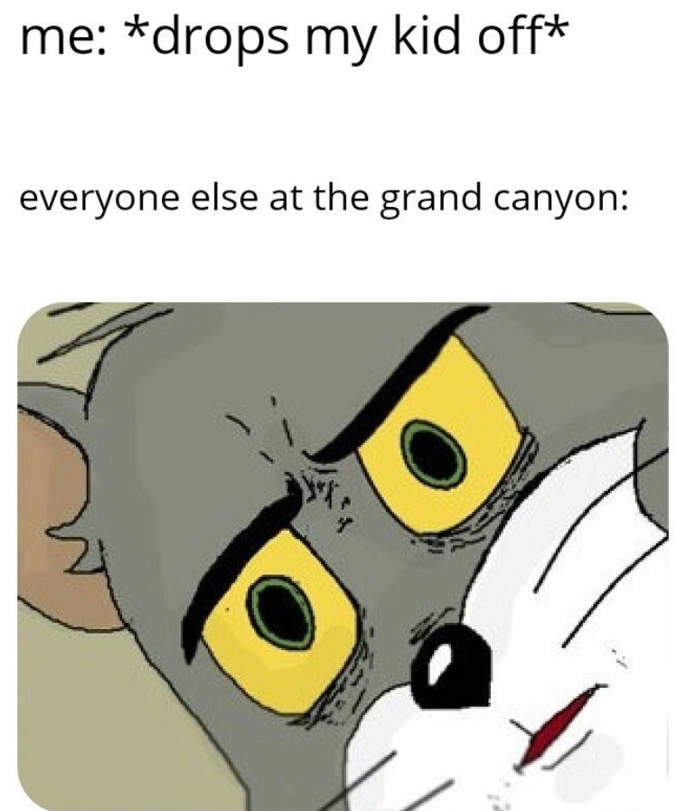 grand canyon - meme