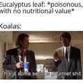It's free eucalyptus