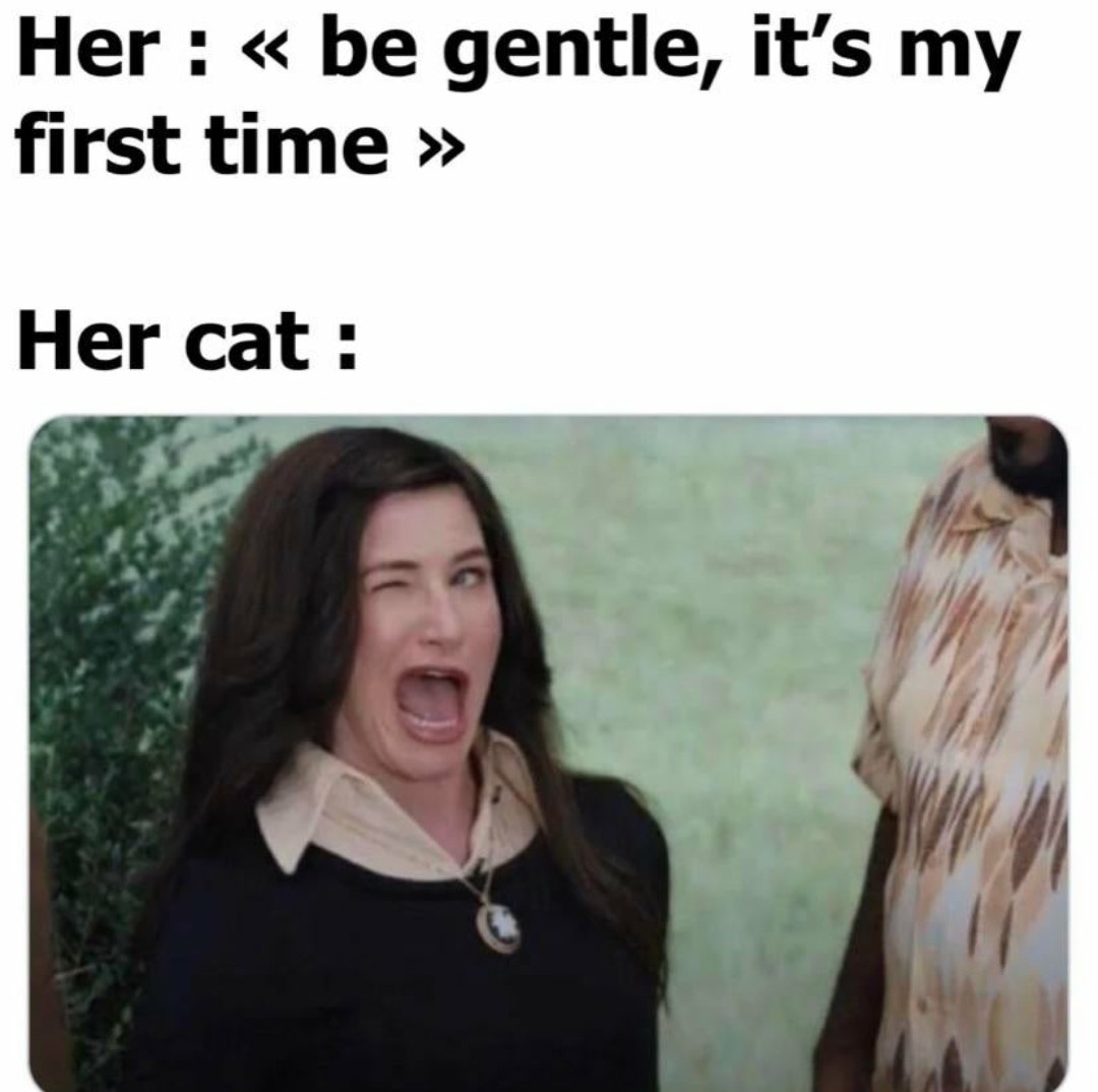 Cat has watched her get piped - meme