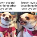 brown eye people