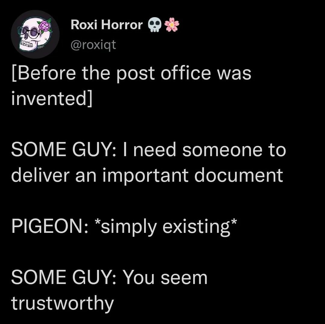 pigeon august funny meme