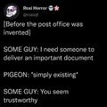 Trusty Pigeons