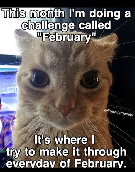 February meme