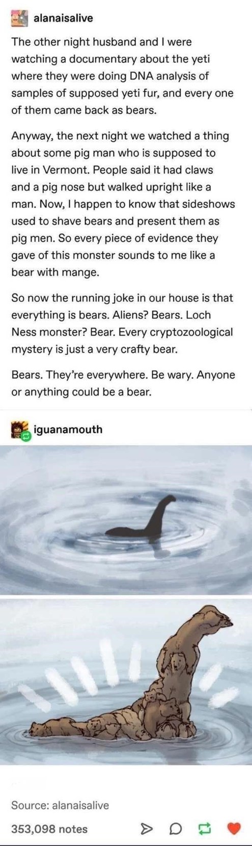 It's all bears always has been - meme