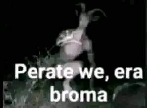 Tranquilo tranquilo - meme