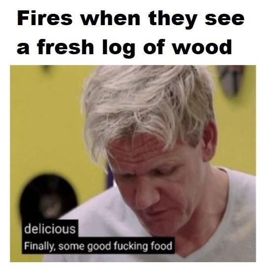 Fire when they see fresh logs finally some good food - meme