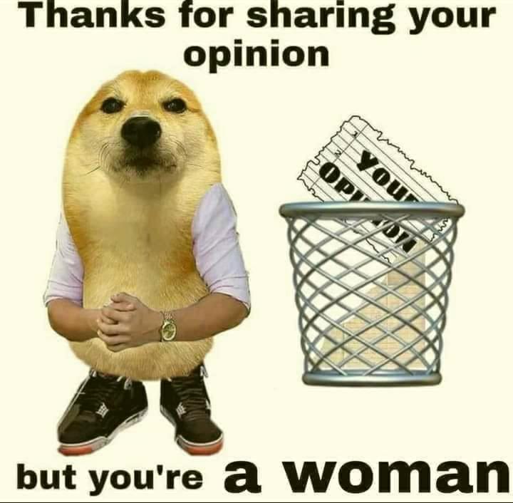 You are a woman, you dont count - meme