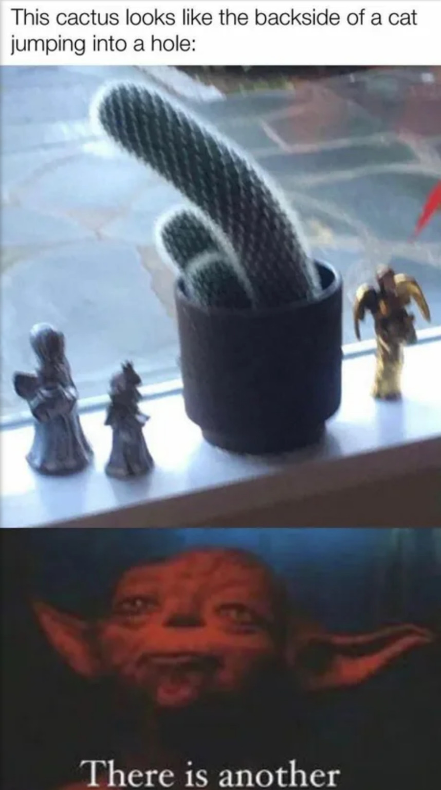 The force is prickly strong in that one - meme