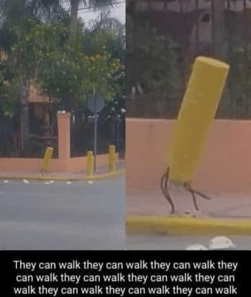 They Can Walk - meme