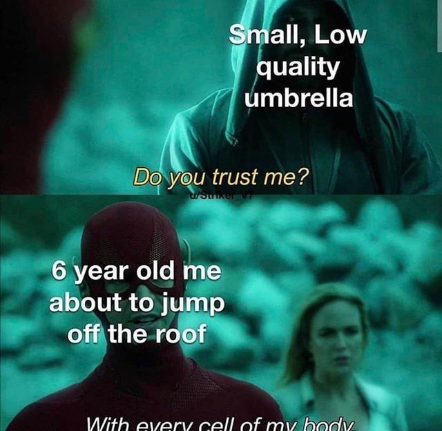Small low quality umbrella is a useful tool to fly - meme
