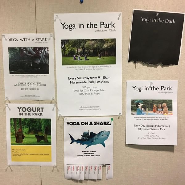 yogurt,yoda,yogi - meme