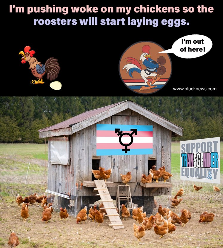 Woke Chickens - meme
