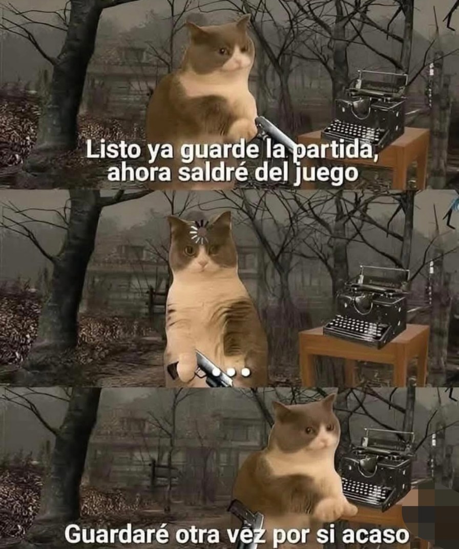 Guardo partida por si las moscas y otra vez por si acaso - meme