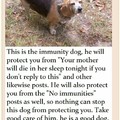 Thank u immunity dog