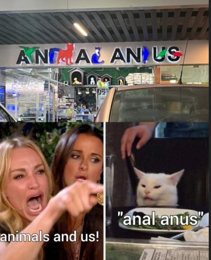 ANA ANUS - meme